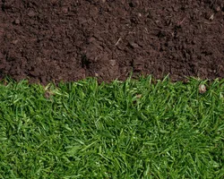 Mississauga Soil Top Dressing