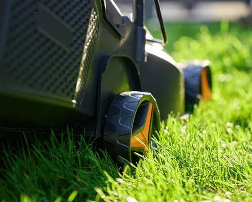 Mississauga Lawn Cut and Trim