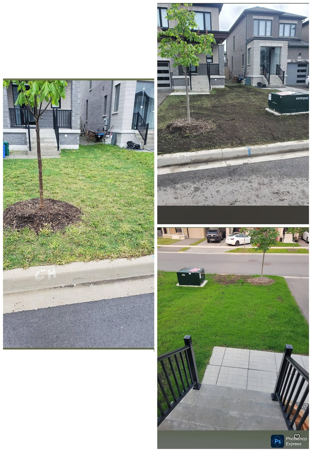 Lawn and Tree Fertilizing Toronto