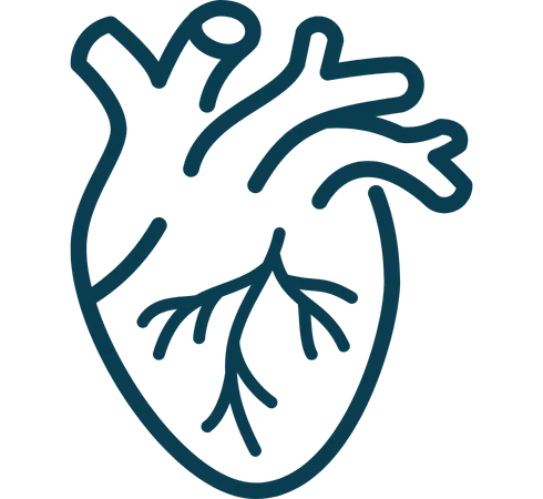 Cardiovascular and metabolic markers