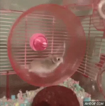 Escape the Content Hamster Wheel - Part 1, Get Off the Wheel