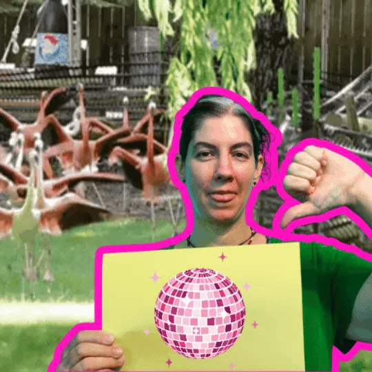 Escape the Content Hamster Wheel - Part 3, No Injured Flamingos