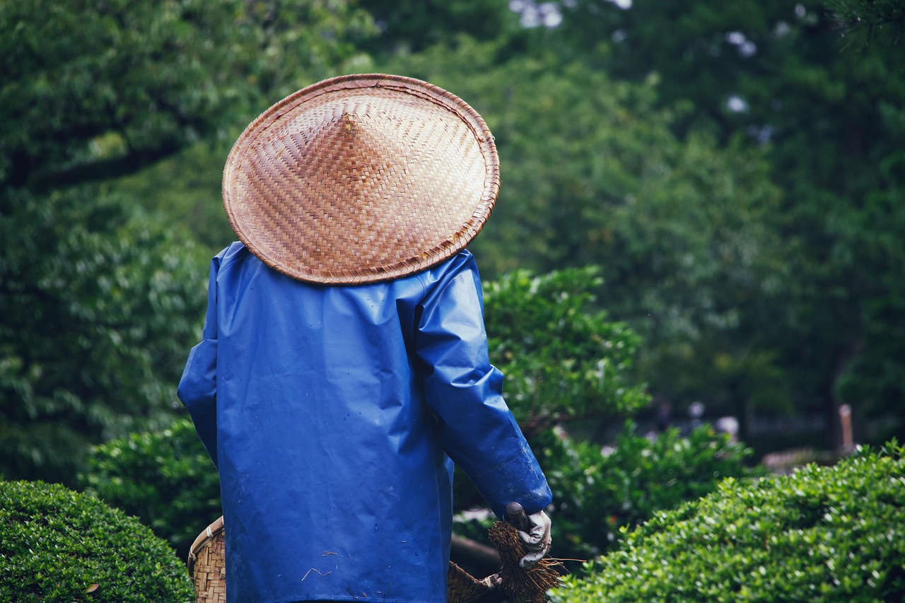 blue shirt man with a farmer's hat
