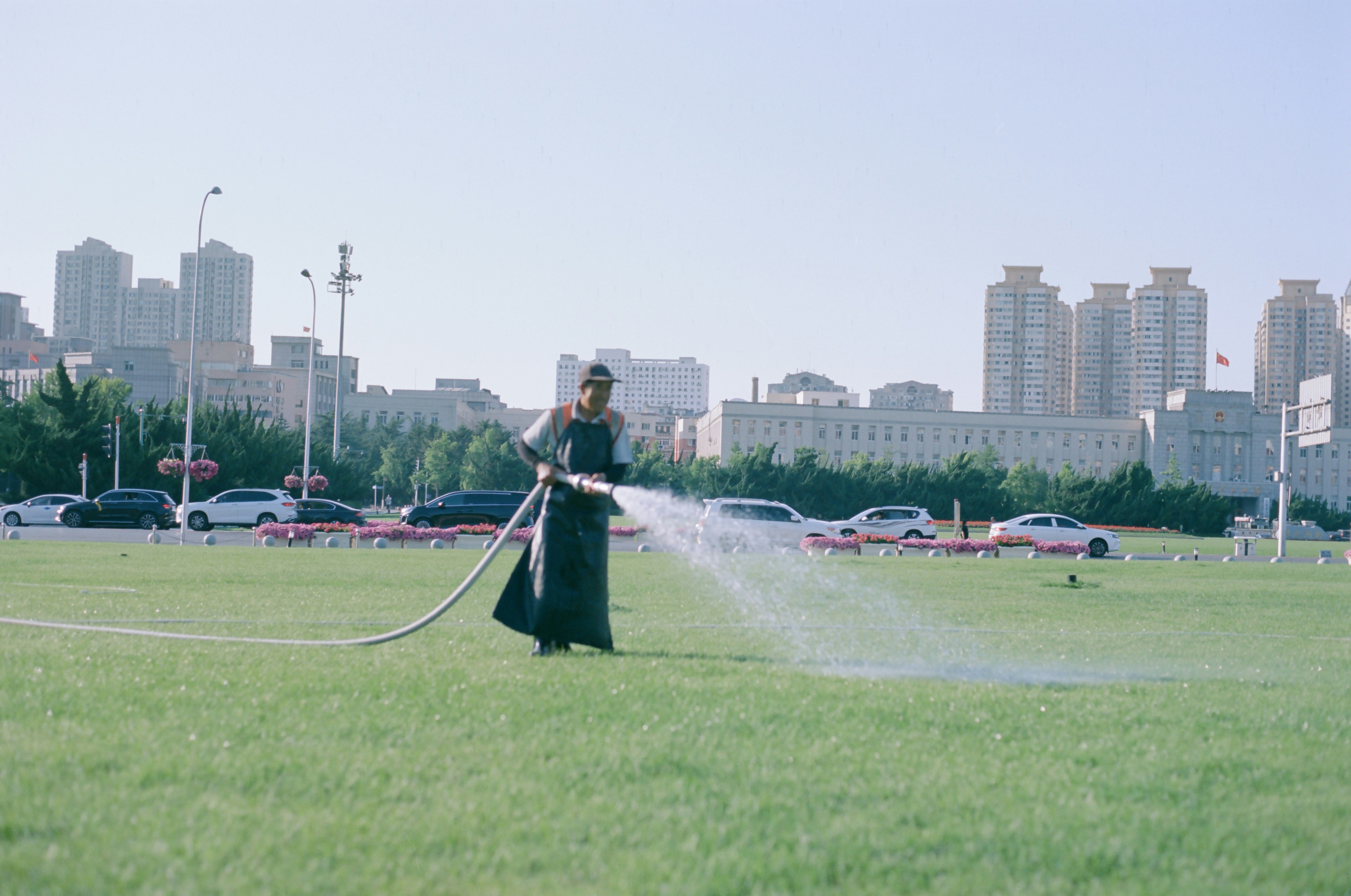 man watering lawn with road and buildings behind him