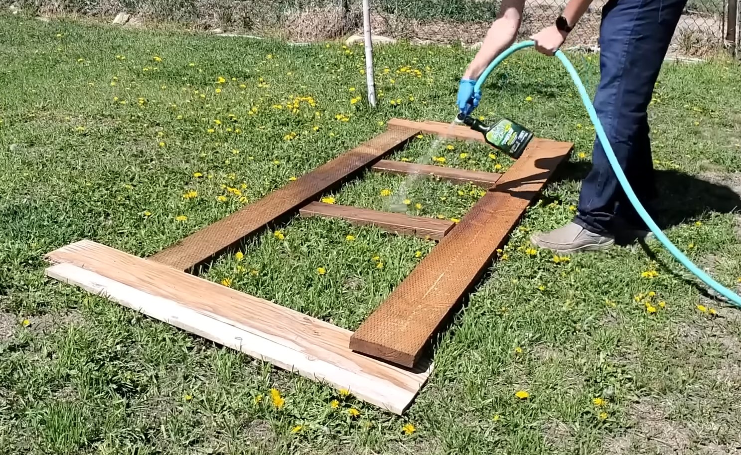 using wooden planks for weed control on dandelions