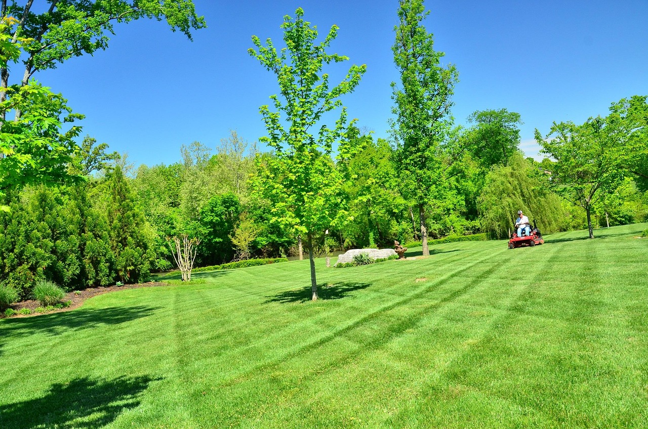 neat and mowed lawn