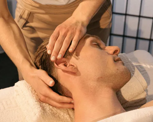  Sheet Facial Face Mask