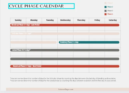 Image of a menstrual cycle & ovulation tracking guide