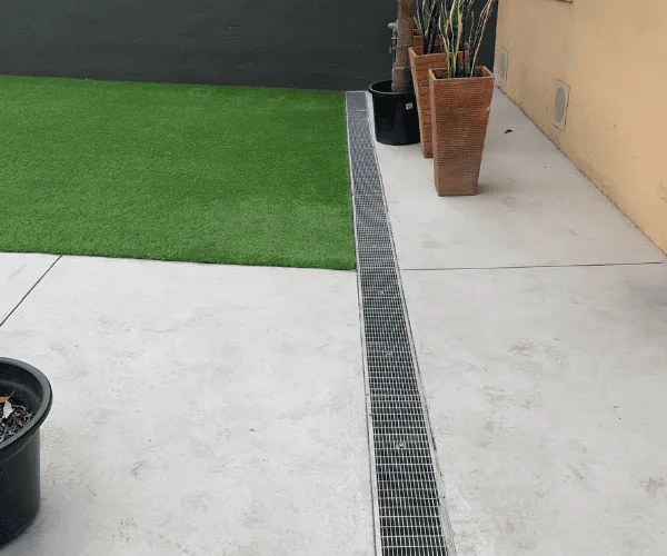 Blocked Drains Dee Why