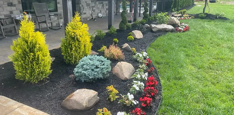 Garden bedwith rich mulch and a combination of rocks, evergreens and flowers