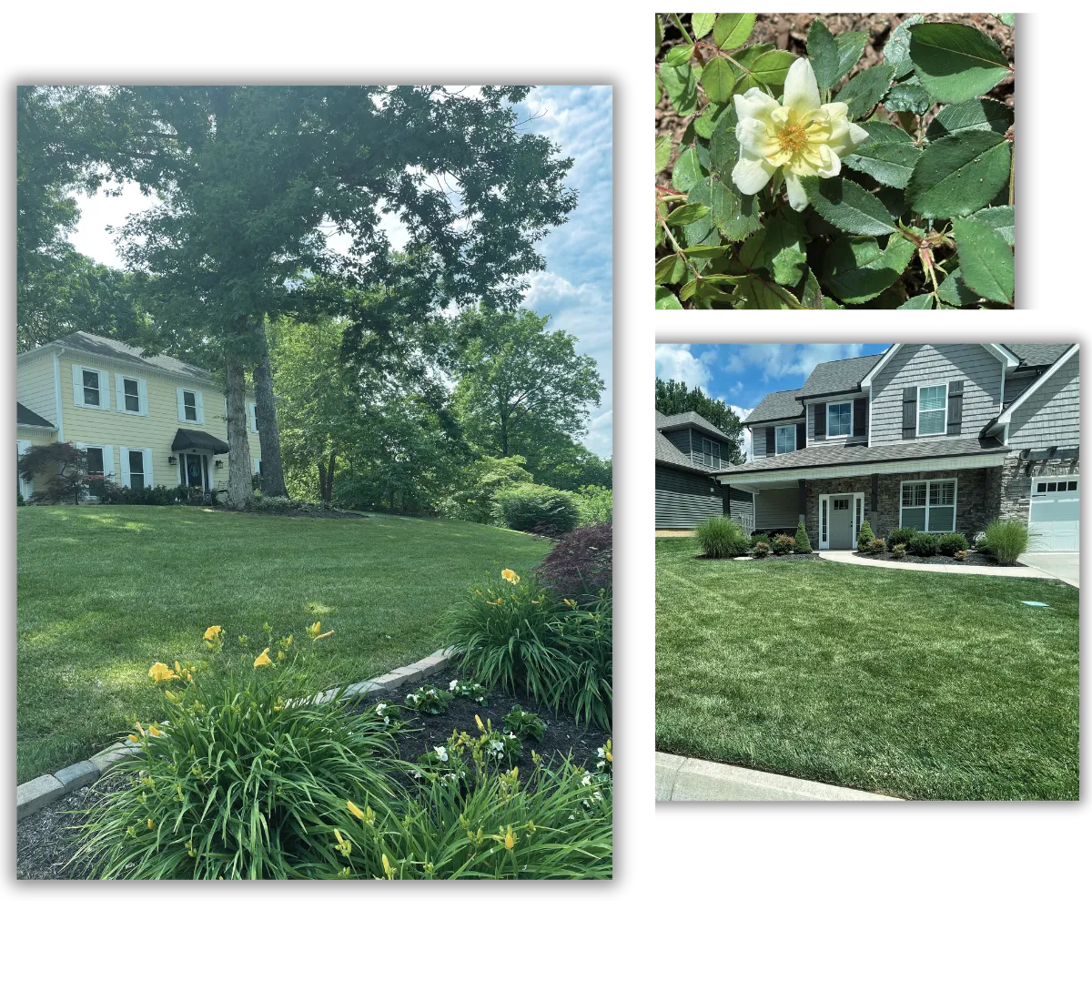 3 Images featuring green grassy yards in front of manicured bushes