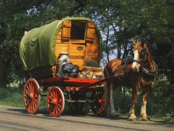 Will's cover wagon resembling a large barrel with red cart wheels and faithful carthorse Susi brown with a whie-striped nose harnessed in place