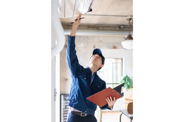 The offer and Inspection Phase