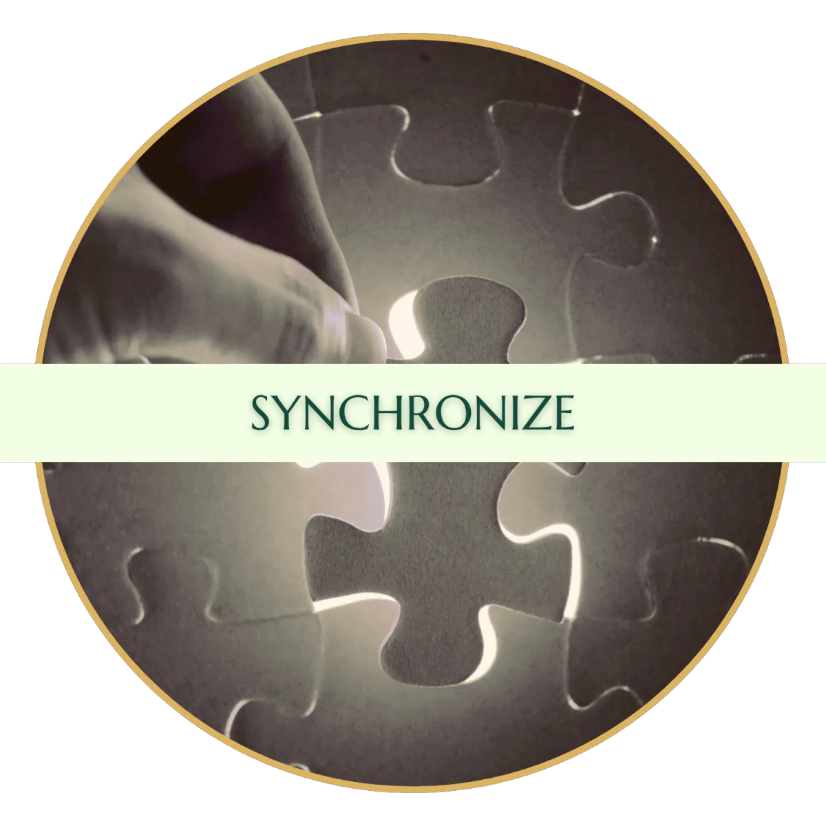 Synchronize logo