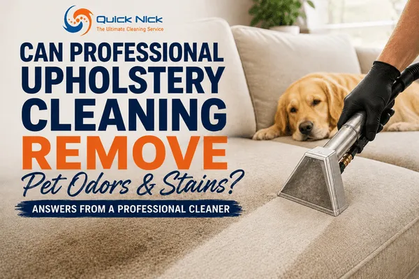 Can Professional Upholstery Cleaning Remove Pet Odors and Stains?