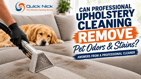 Can Professional Upholstery Cleaning Remove Pet Odors and Stains?