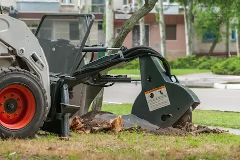Stump grinder attachment on a skid steer removing a tree stump