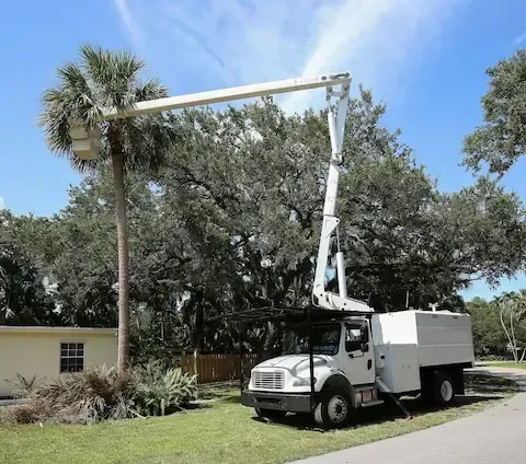 Bucket truck with extended boom parked on a lawn beside a tall palm near a house