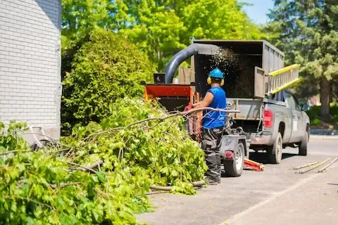 Close-up of worker guiding leafy branch into chipper hopper beside parked pickup truck