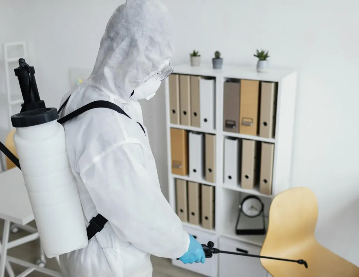 Pest Control 