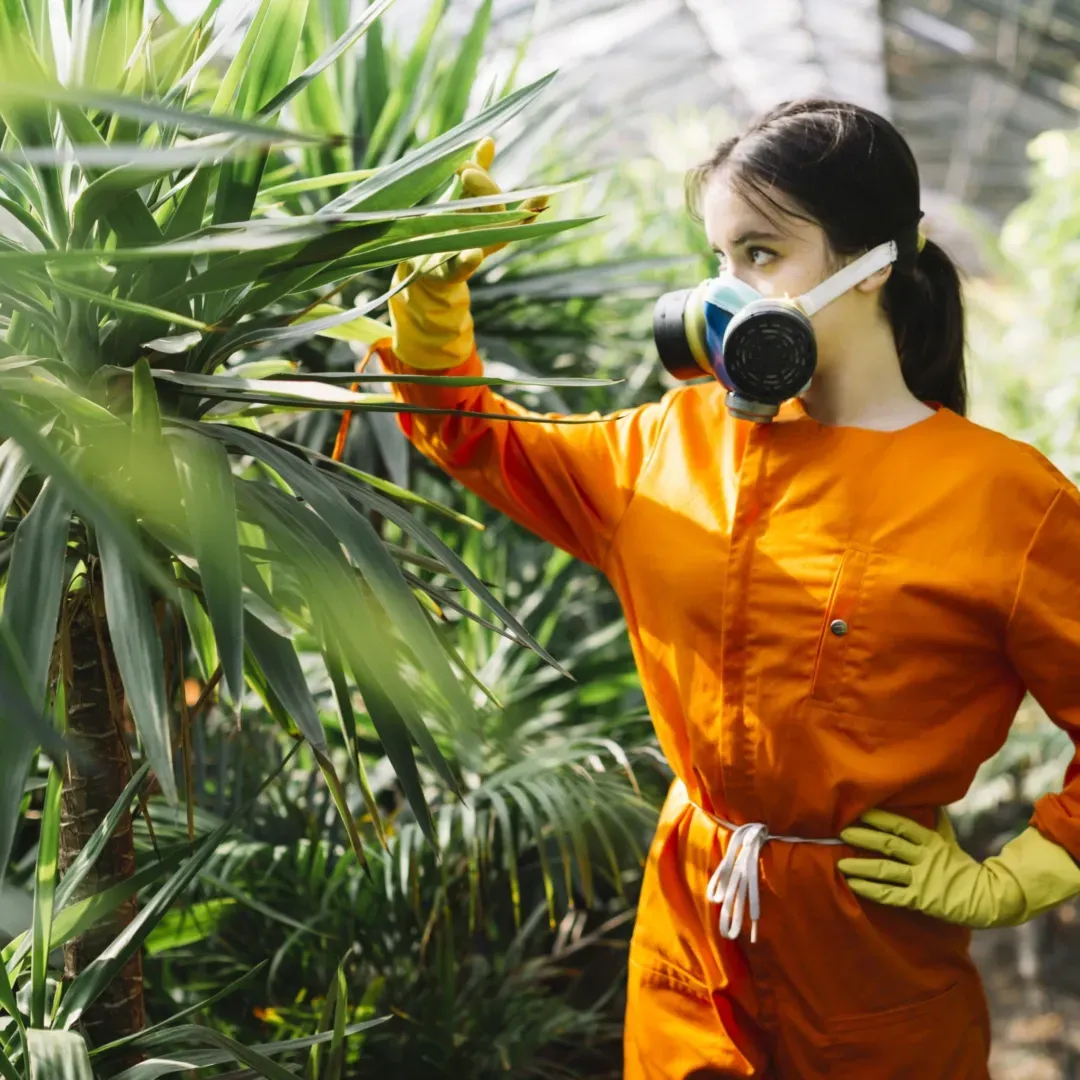 Emergency Pest Removal