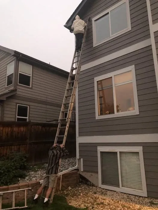 Pest Control