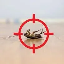 Response Extermination