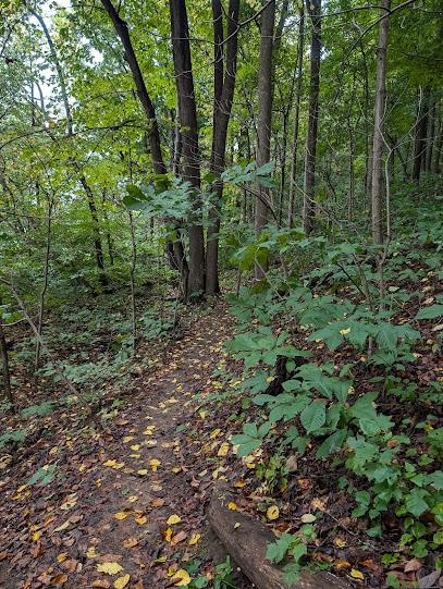 Weddings Cave Spring