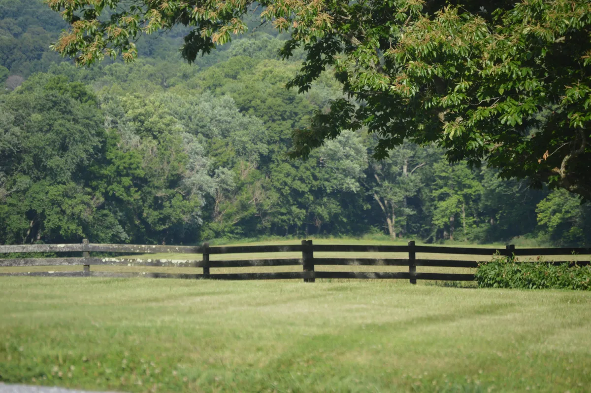 looney mill creek