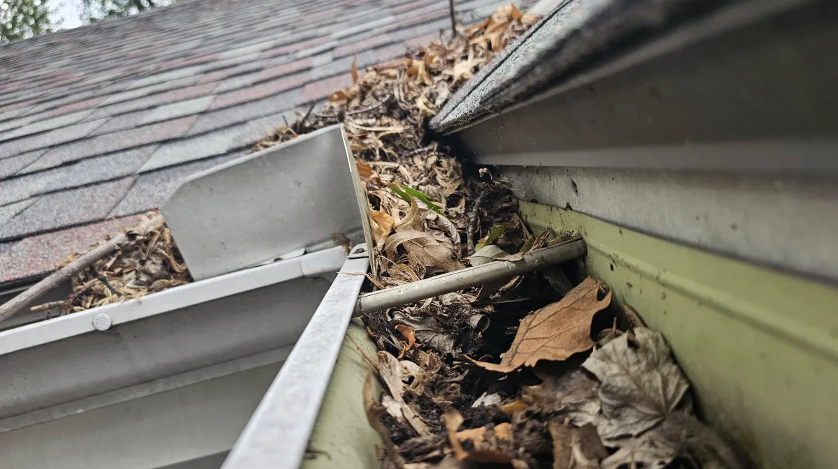 Gutter Cleaning Service