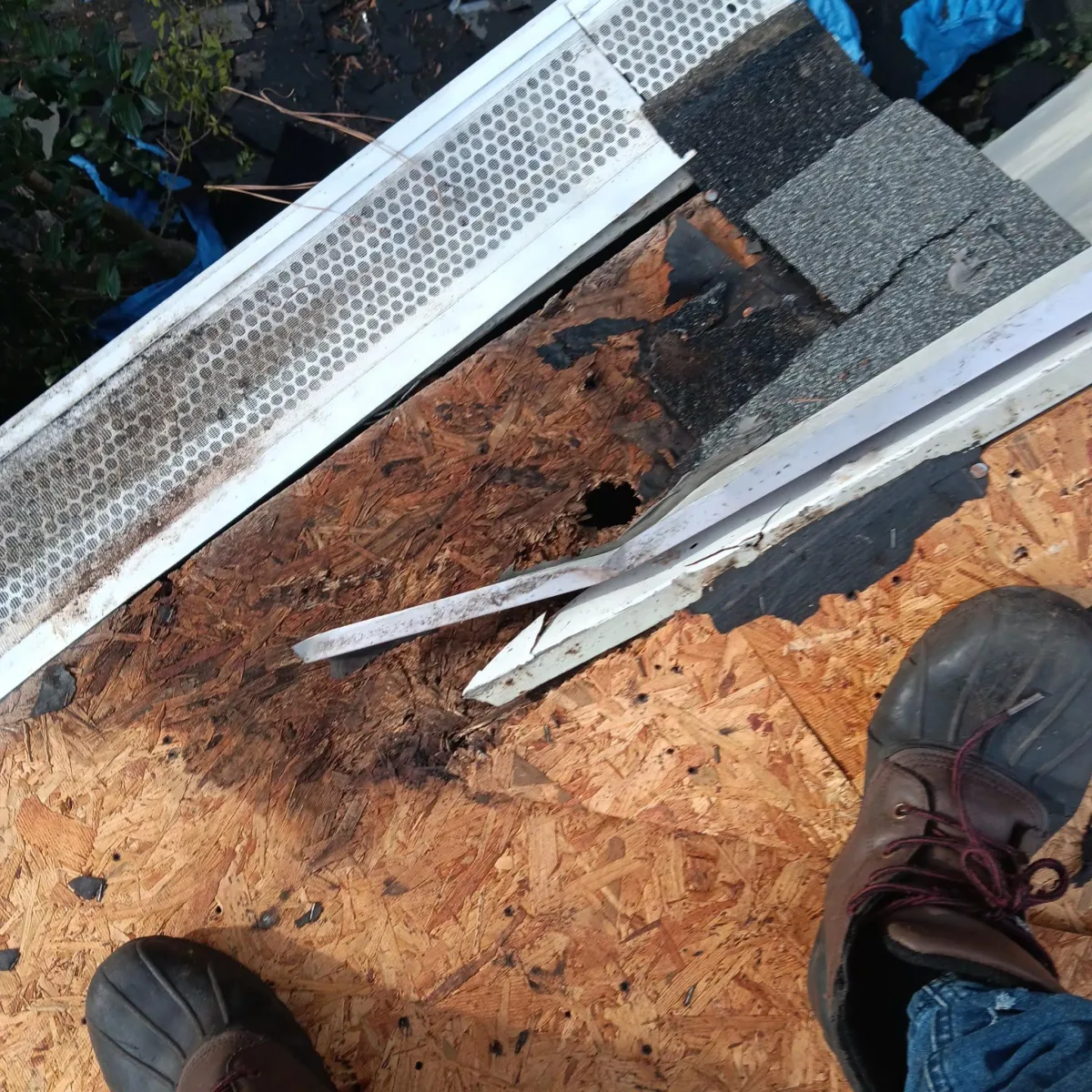 Roof leak repair cary