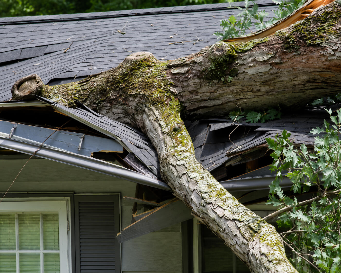 Storm Damage & Insurance Assistance