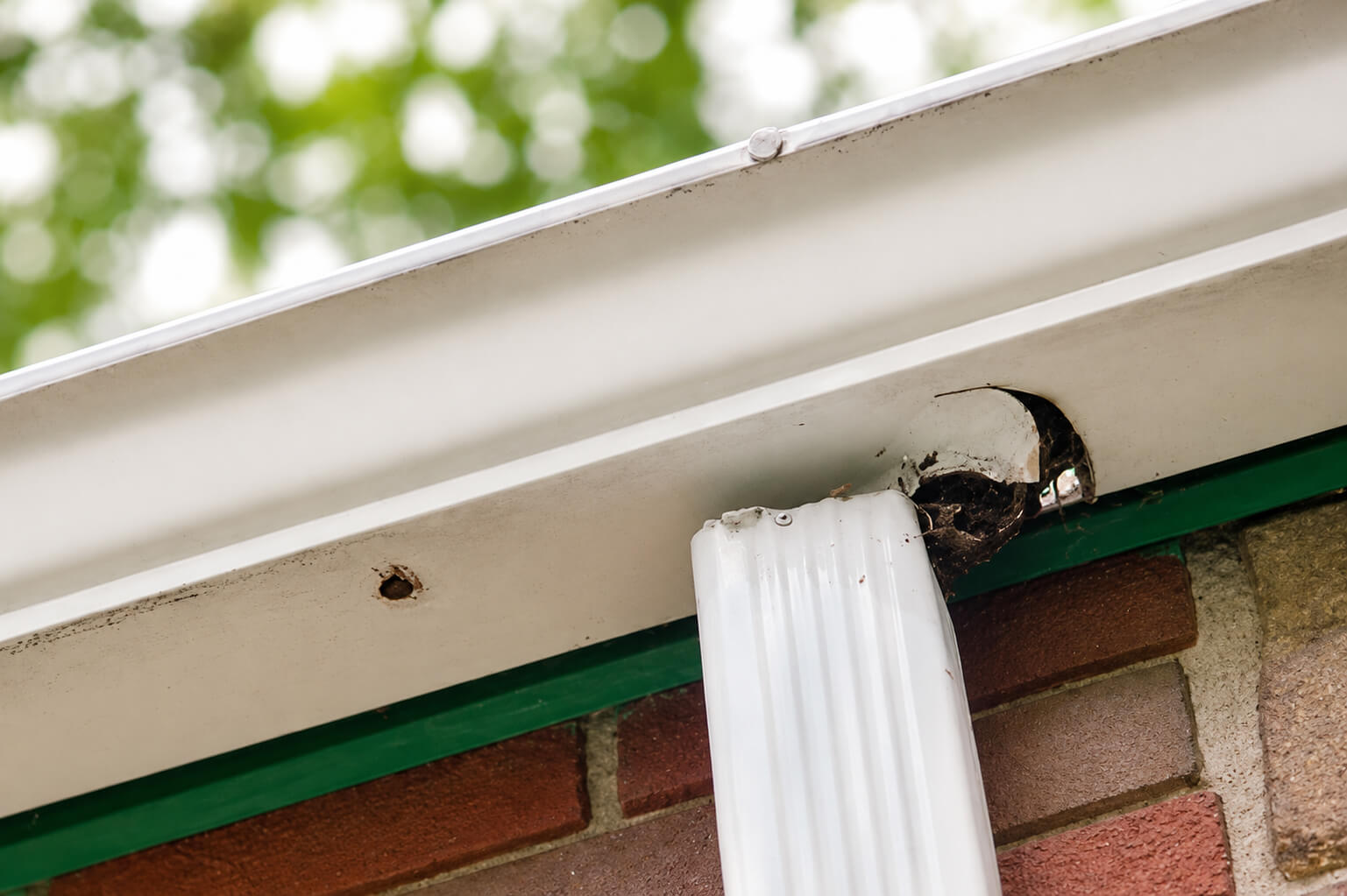 Corroded Downspout