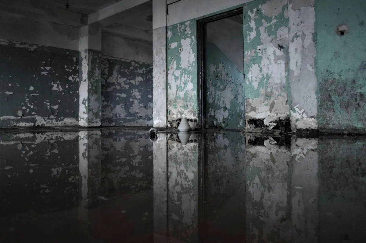 What Most Homeowners Miss After Water Damage | San Bernardino Guide