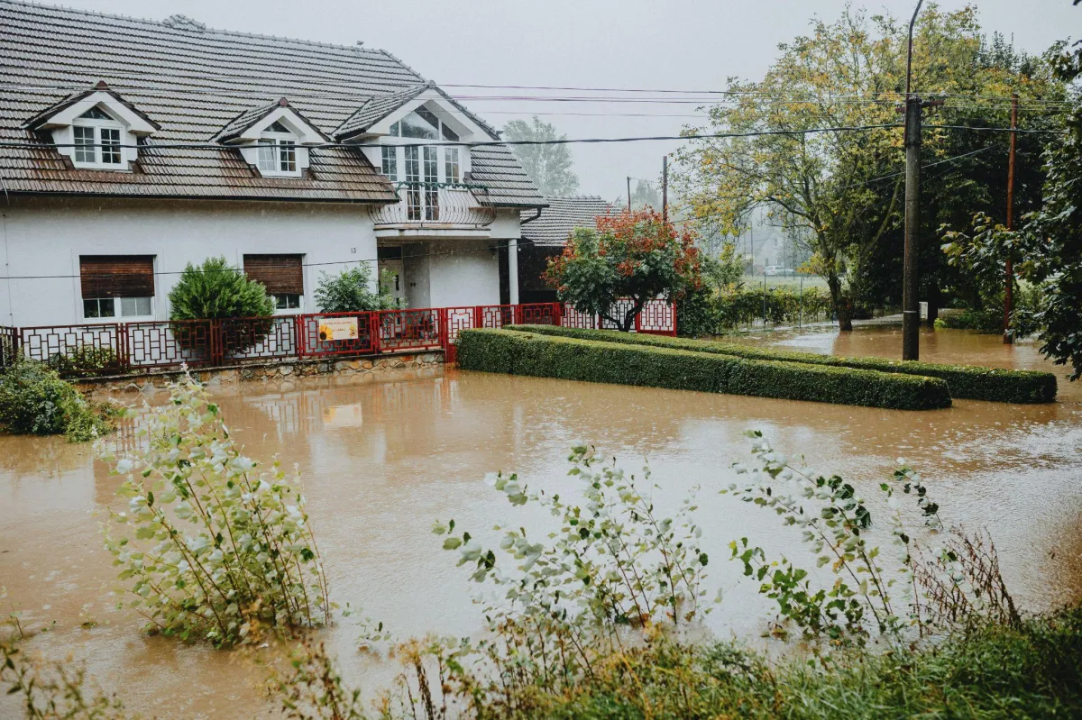 Water Damage in San Bernardino? What To Do in the First 24 Hours