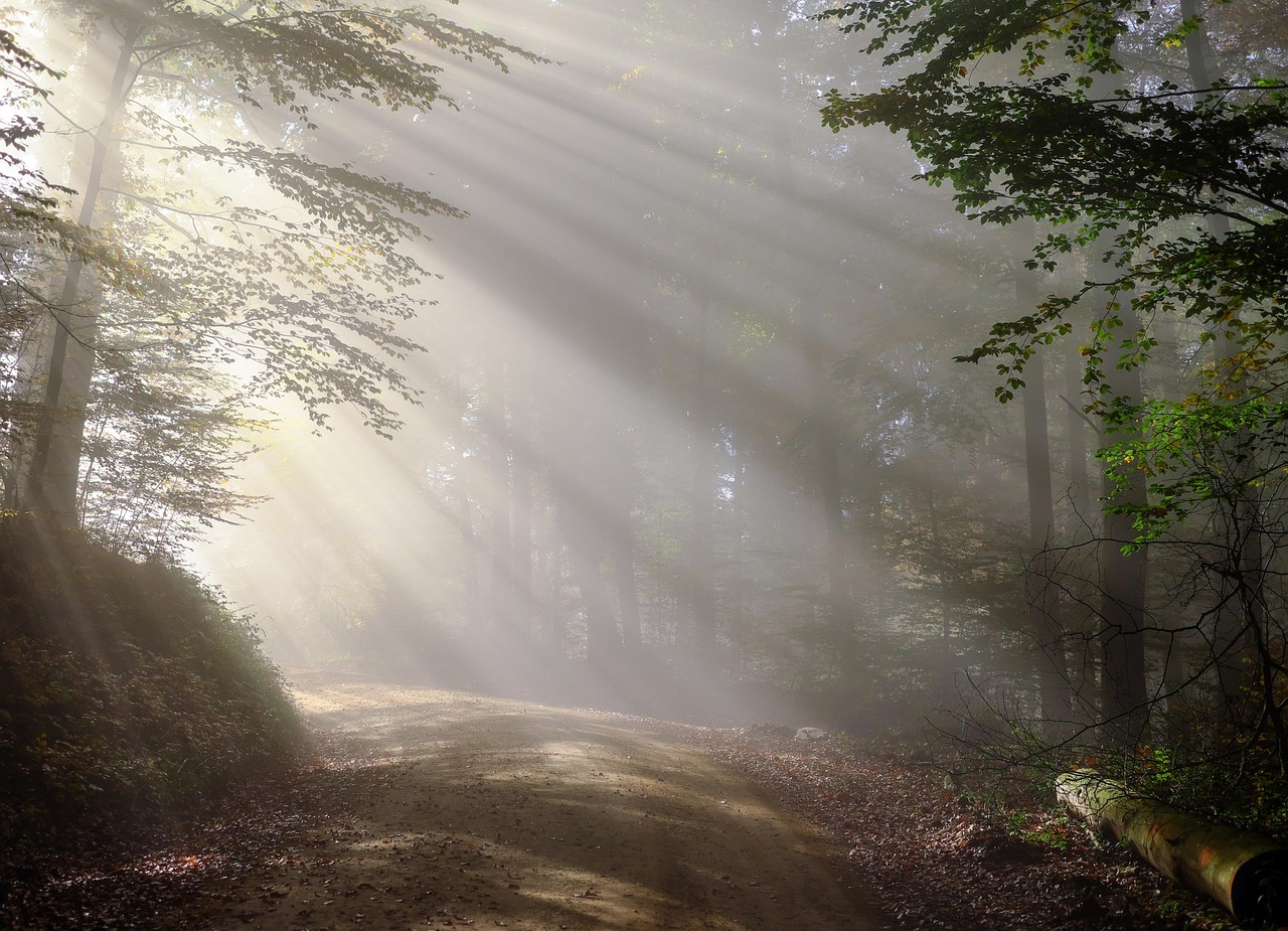 Why Healing Can Feel Worse Before It Feels Better | Even If Therapy