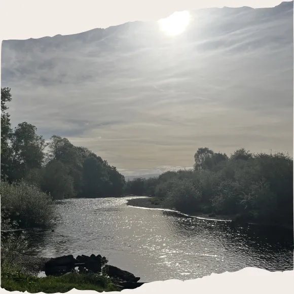 Calm nature scene symbolising stress relief and emotional wellbeing