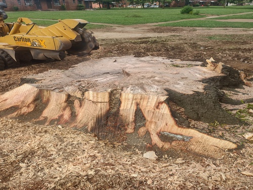 {{ custom_values.service_1 }} in {{custom_values.biz_area_1})