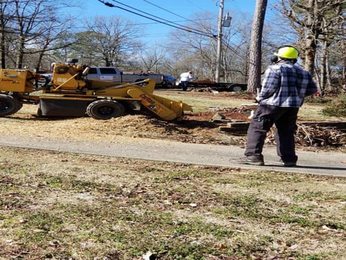Tree Stump Grinding in Birmingham