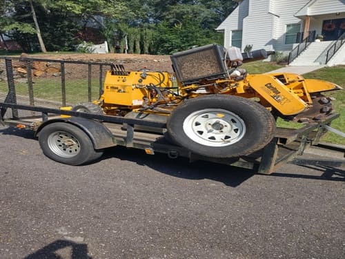 Alabaster Commercial Stump Removal
