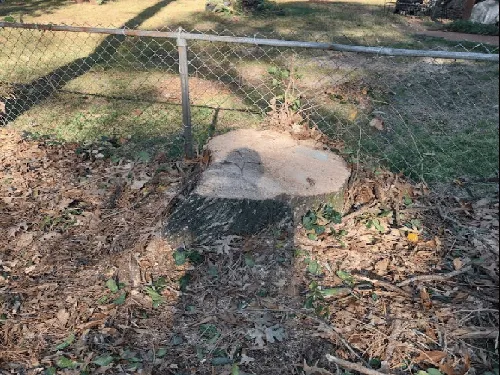 Vestavia Hills Residential Stump Removal