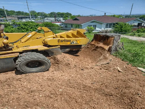 Residential Stump Removal Birmingham