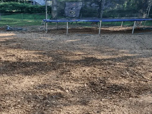 Hoover Debris Removal