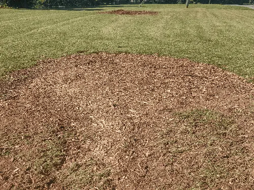Commercial Stump Removal Birmingham