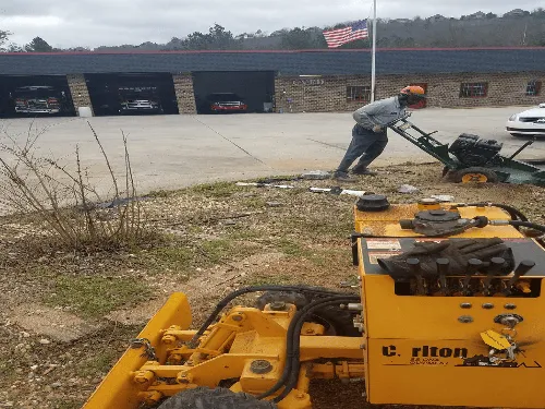 Residential Stump Removal in Birmingham