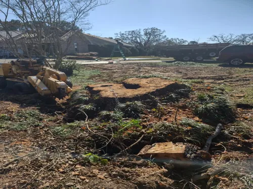 Residential Stump Removal Birmingham