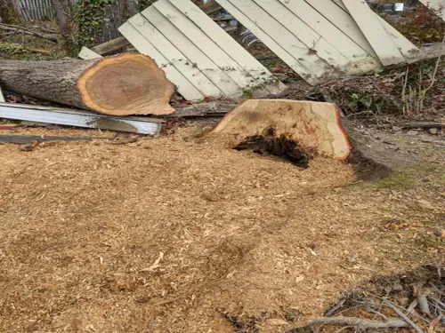 Debris Removal Birmingham