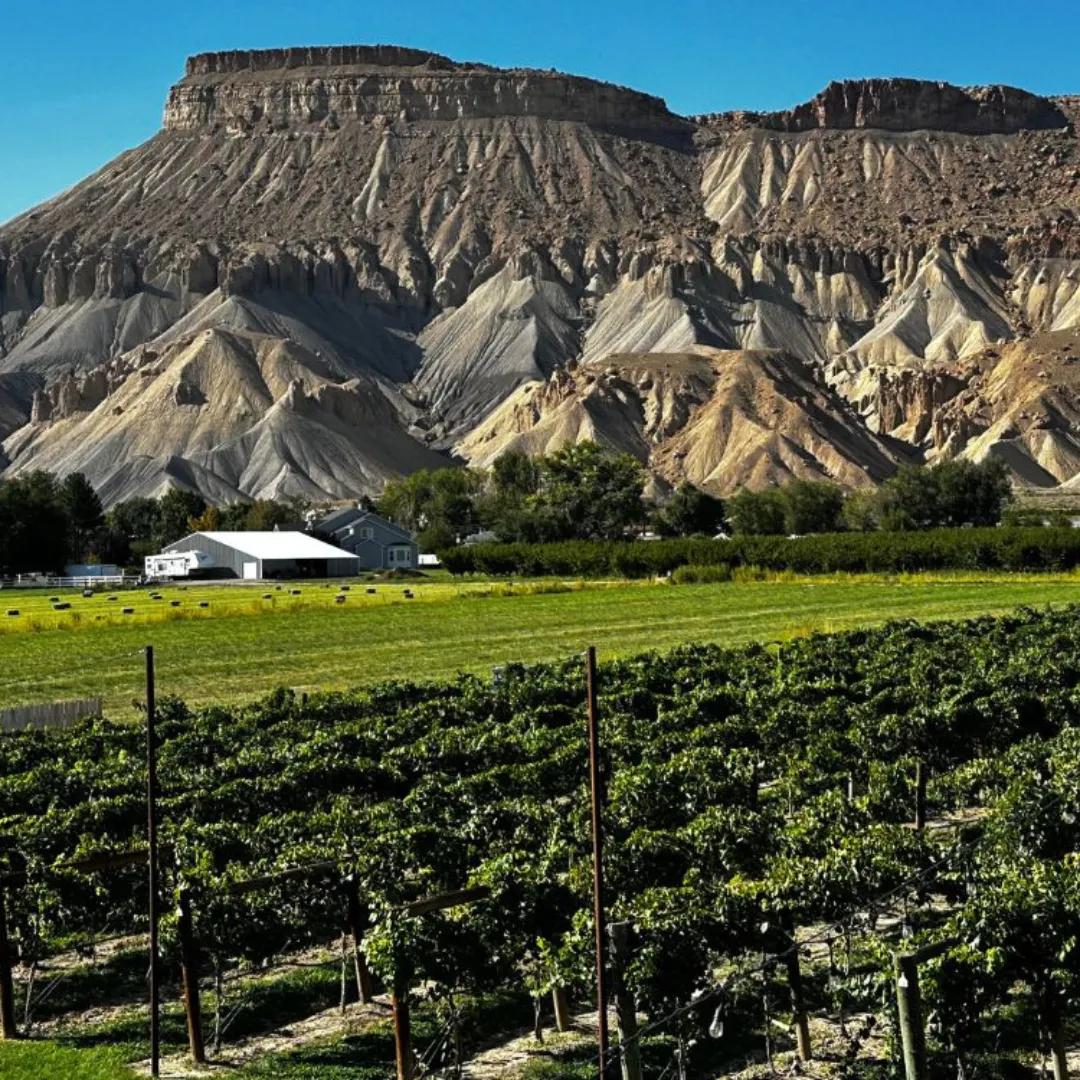 plumber Palisade, hvac Palisade, heating repair Palisade, ac repair Palisade, water heater repair Palisade, boiler repair Palisade, emergency plumber Palisade,