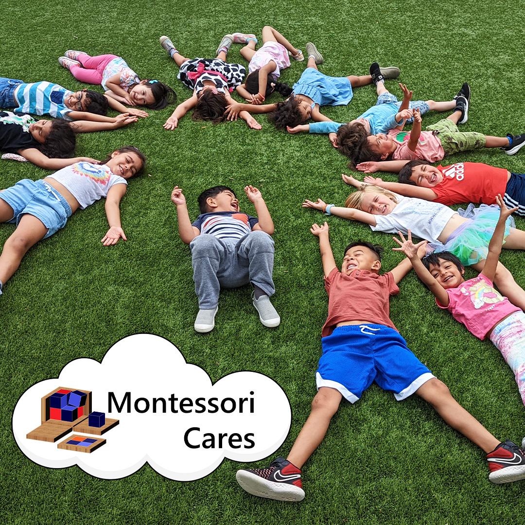 white and yellow flower in close up photography