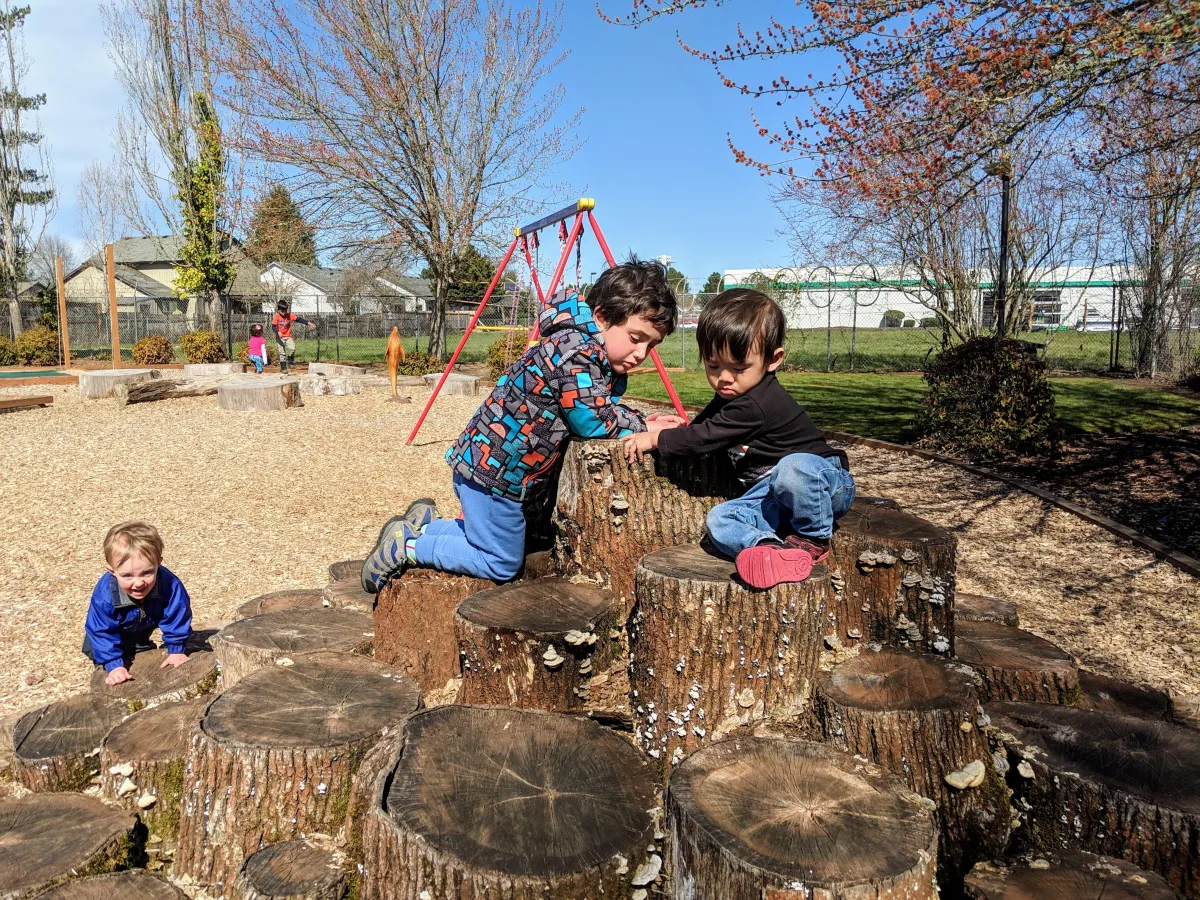 white and yellow flower in close up photography